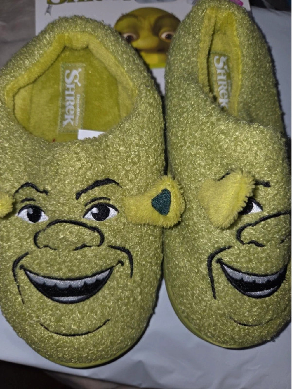 Shrek slippers hard bottom 2/3